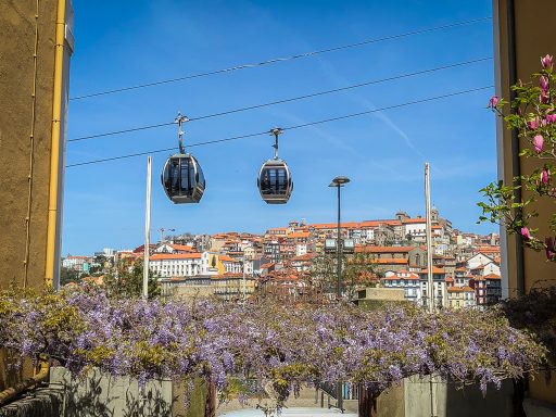 Noord Portugal Porto