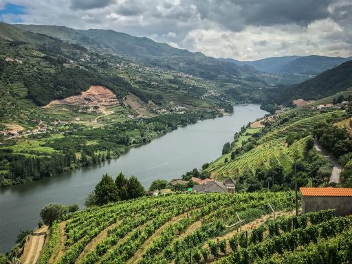 Noord Portugal Douro